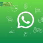 Bulk Whatsapp Service Provider & Blast Marketing - DGSOL